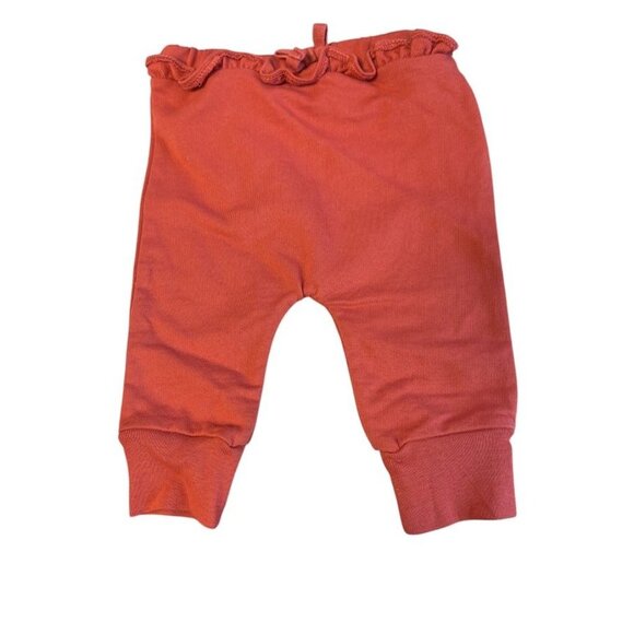 Baby Girls 3-Piece Outfit Set - Hedgehogs Onesie Floral Peplum Top & Ruffle Pant - Picture 4 of 4